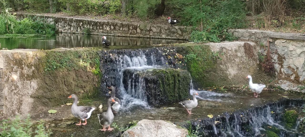 Alojamiento Yolanda Cazorla Bagian luar foto